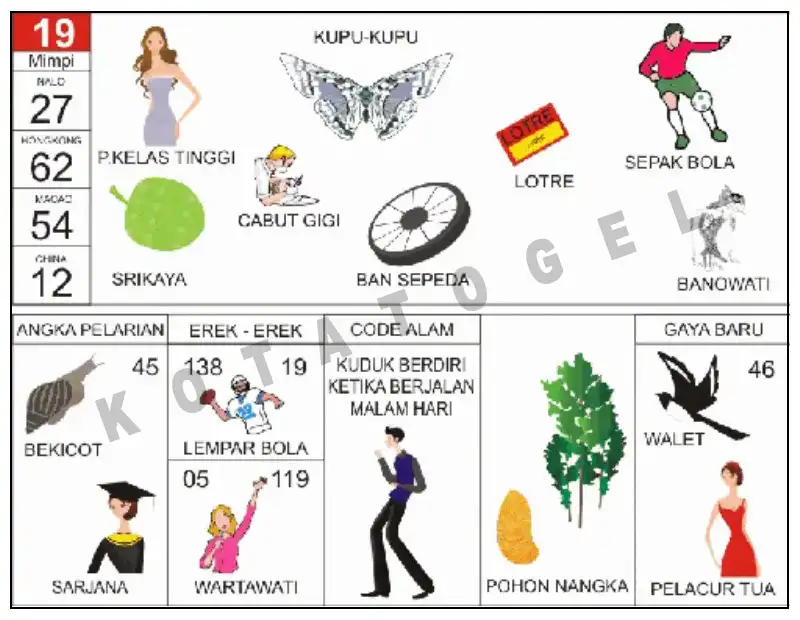 Erek Erek											19