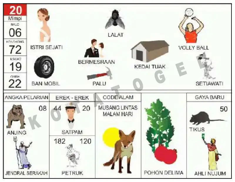 Erek Erek											20