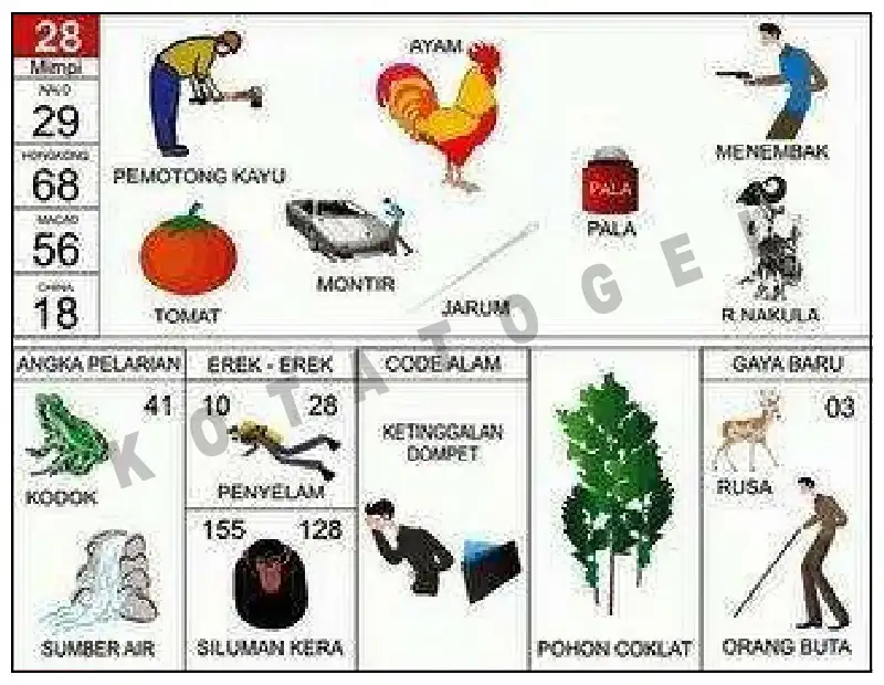 Erek Erek											28