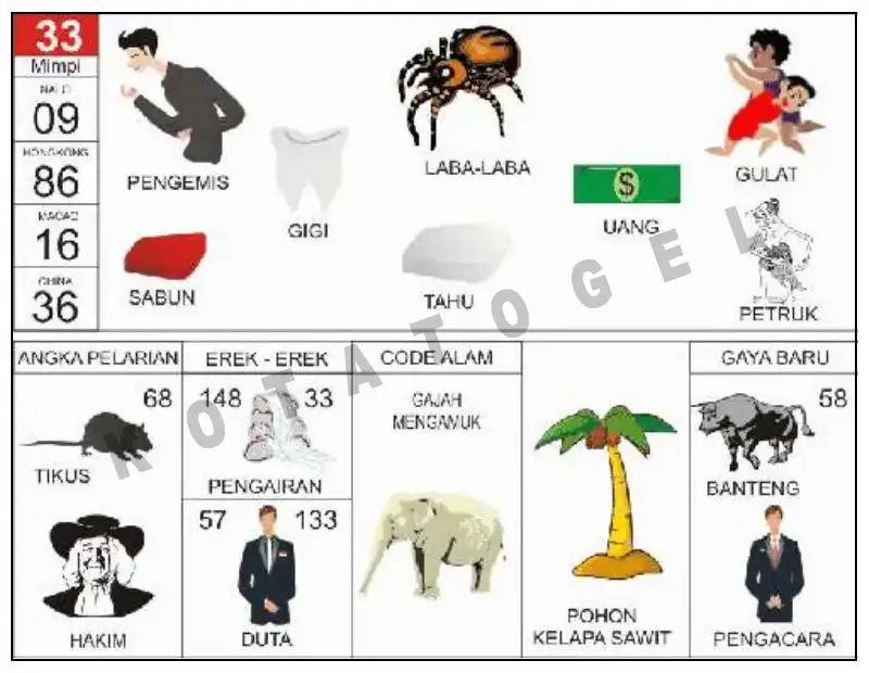 Erek Erek											33