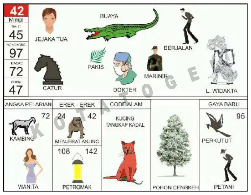 Erek Erek											42