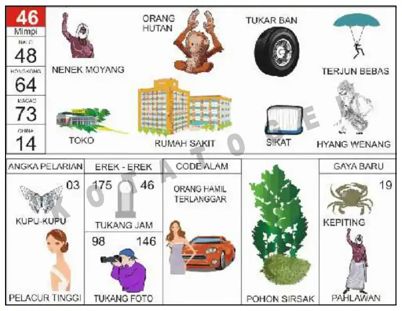 Erek Erek											46