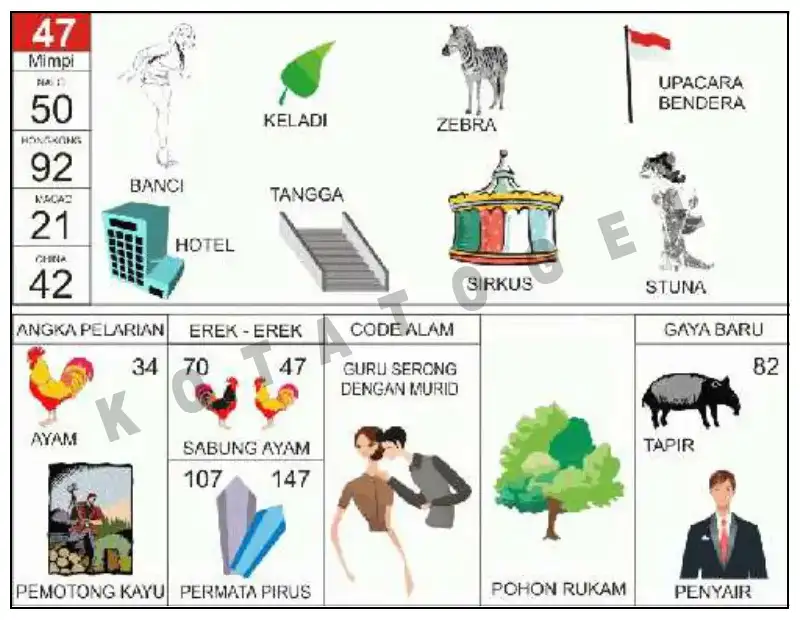 Erek Erek											47