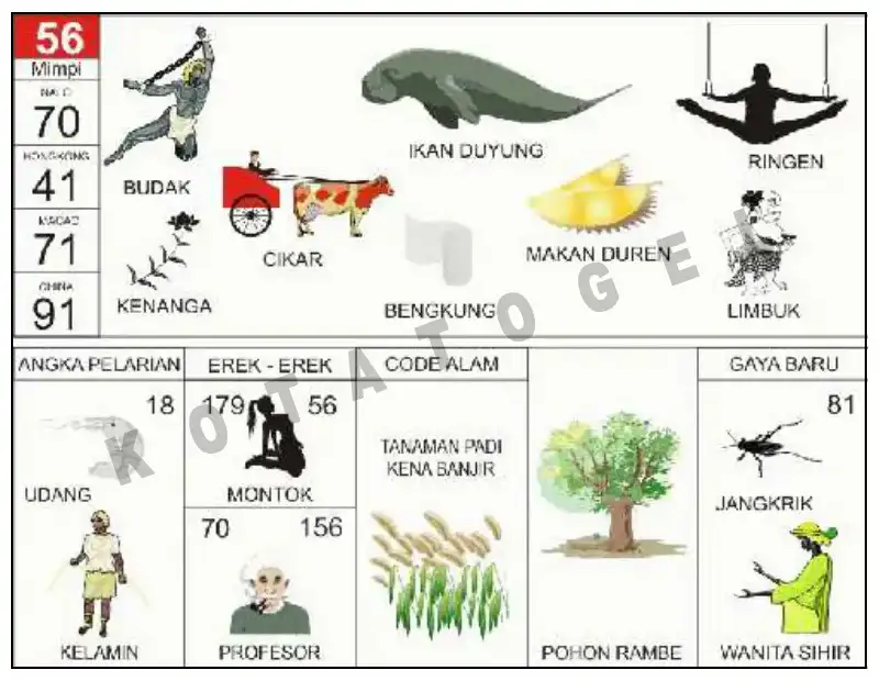 Erek Erek											56