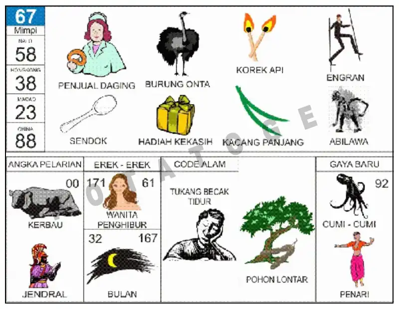 Erek Erek											67