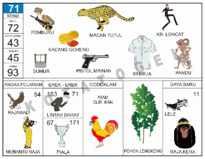 Erek Erek											71