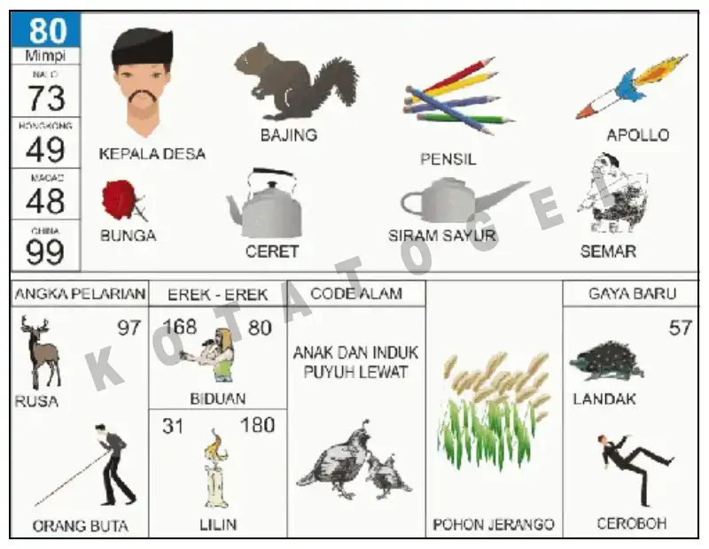 Erek Erek											80