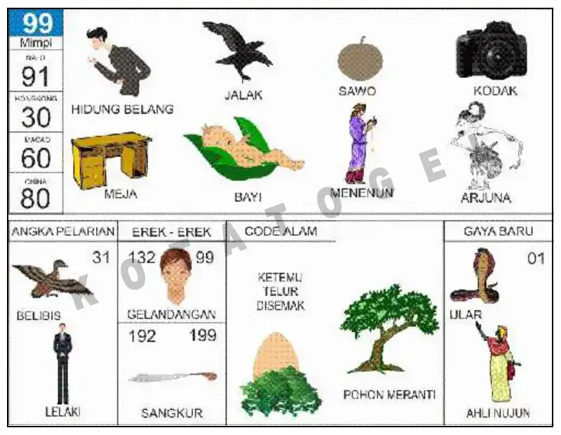 Erek Erek											99